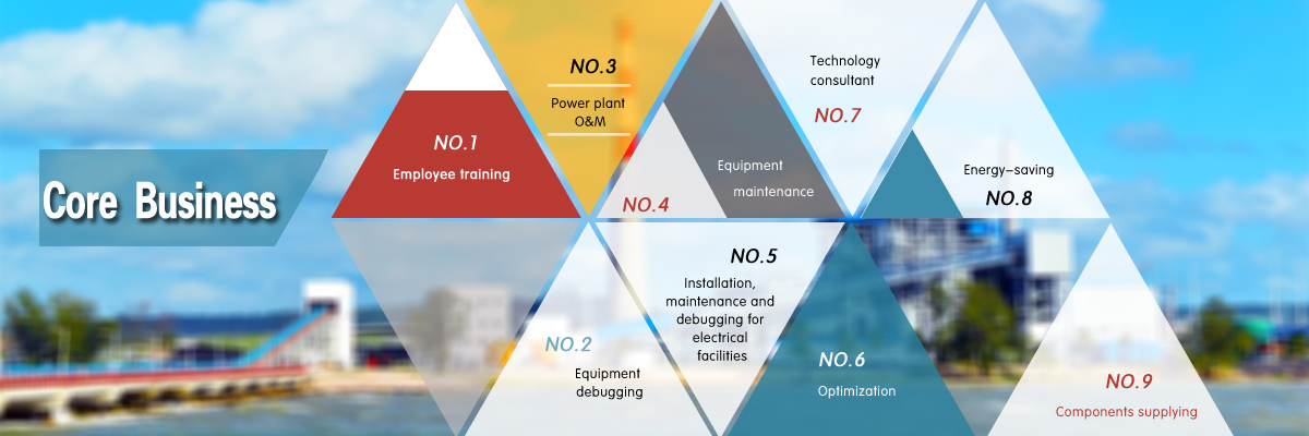 Shandong Lineng Electric Technology Co., Ltd. Main Business